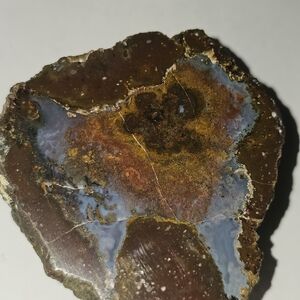 Polished Agate Slice with Earthy Tones